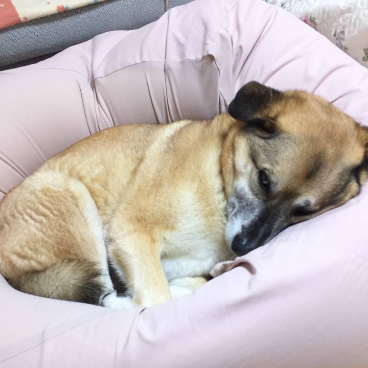 C36e50d9 b7ac 4865 b77b ea9c6b11fe1d 1521979089431