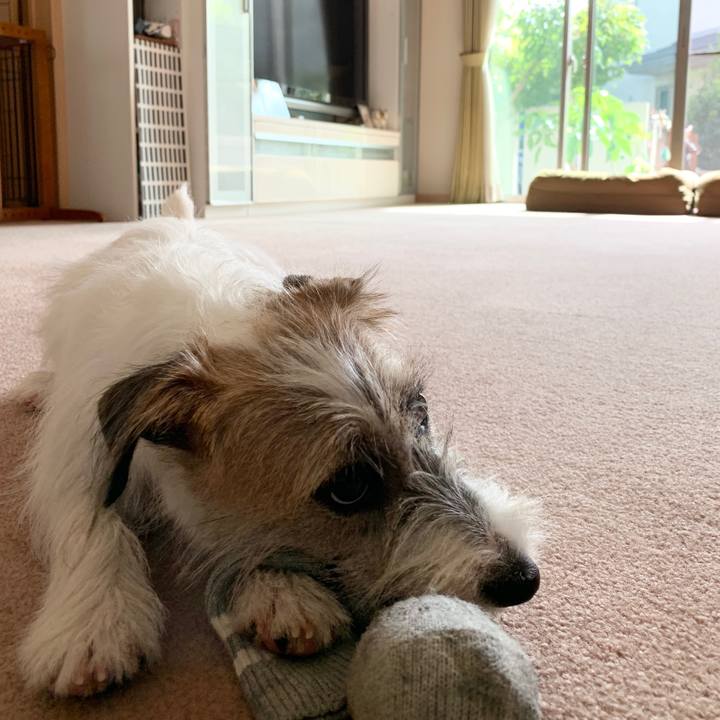 C36e6259 eaf5 4abb b9a4 2eec01ad2983 1570679815636