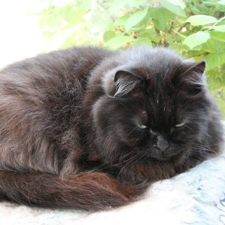 C36e7507 7647 4ba3 b0b2 7f4c5341968b 1524989990298