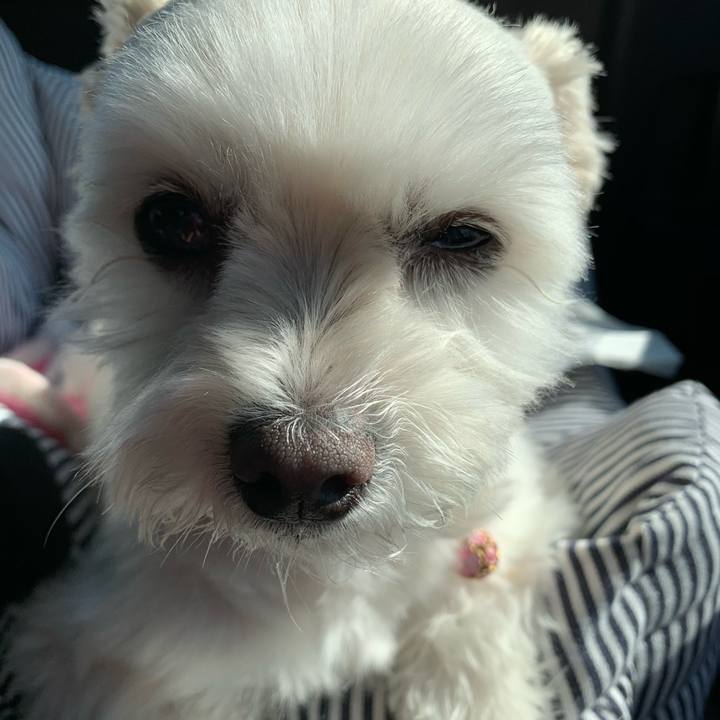 C36e7e83 4db5 4bb2 bcfb dde5743fee1c 1607578660776