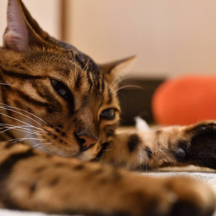 C36eb3bd 4e1b 4d14 9188 a02891c9ca17 1510661743897