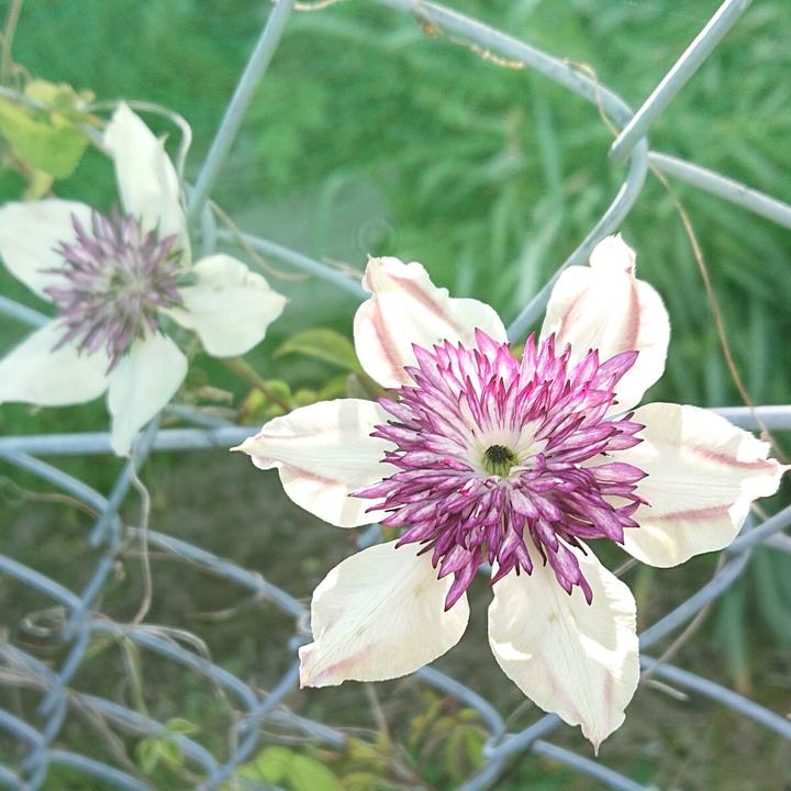 C36ec100 bfdd 4b45 8a1c 4638cd6aef32 1652670870589