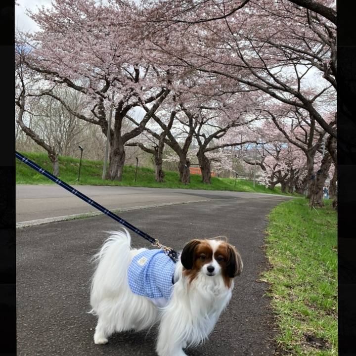 C36ed378 77aa 4a44 8e16 a9ea4d34581a 1745986073108