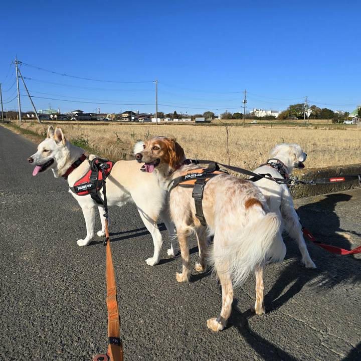 C36edd74 a1ab 4743 bf0a 7411c6d5829a 1734144015524