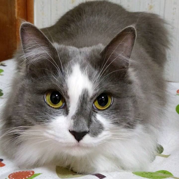 C36eecfb c89d 4e4a ba72 4761551b9c1b 1616575654708