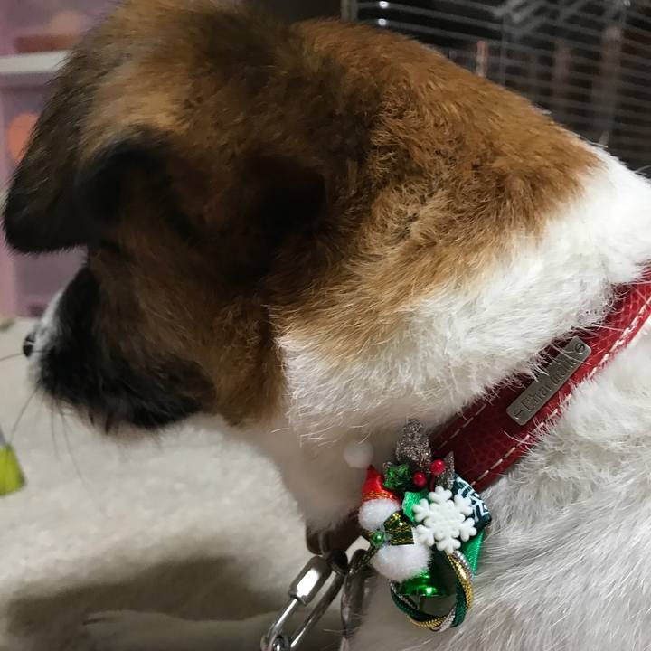 C36f9075 9fd4 400c b06d aaccdc300a75 1511775390611