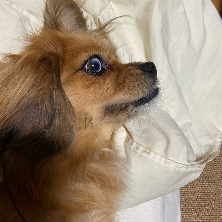 C36fca61 bd3d 415a ac60 6aa5f1bdebc5 1602107686767