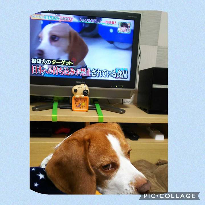 C36fd4be 9d56 472e b4a2 a9505fe25659 1607593198916