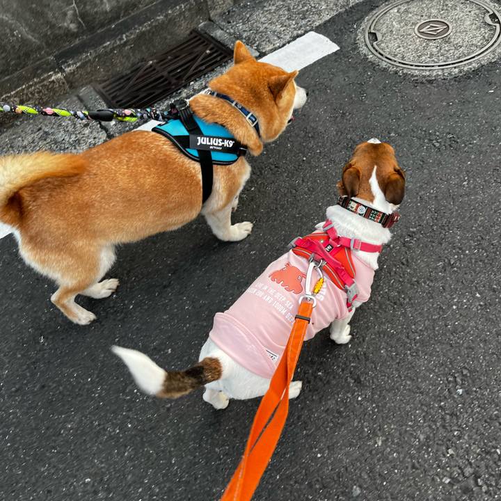 C36fde3f bab9 4144 9fd3 52f26ff31720 1746590167649