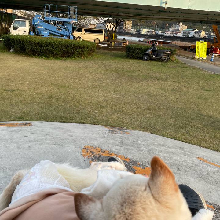 C36fe952 b492 4567 beee c24b1f0a73d5 1669806025664