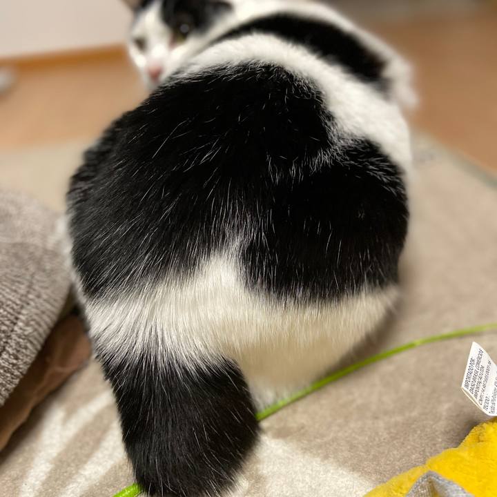 C370004a caee 45db a62b 198c3a3acbb0 1586777958051