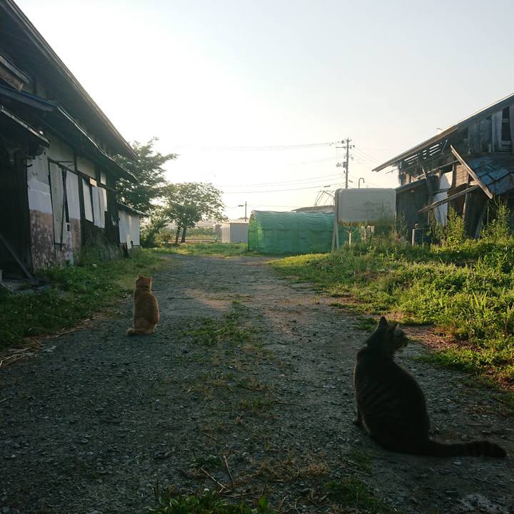 C37012c8 bbe8 4b72 b40b 9bd467e8c2f1 1656192628686