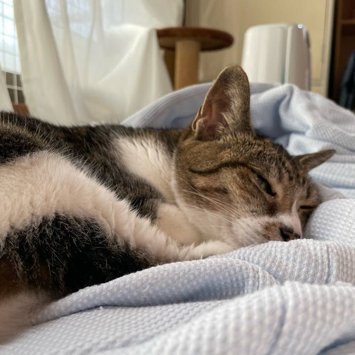 C37029f5 c4aa 41fe 9bdf 461a14a1ccf1 1663290811499