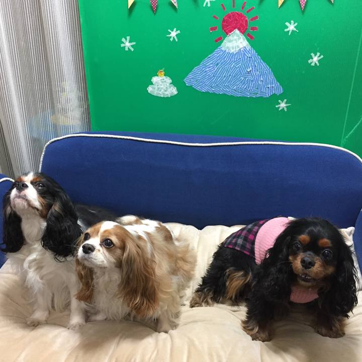 C3704ae0 ee4a 4ccf 89c1 509e1428915c 1521444763177