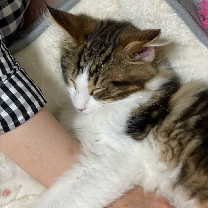 C3704c05 87dc 415c bf9c 44002b6f6b52 1634292870938