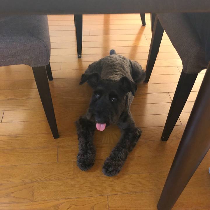 C3705d66 d4a2 4e8f 9243 419f63597f5c 1535320444439