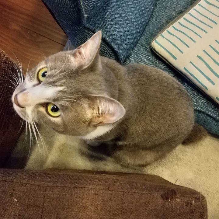 C3706934 c2f3 4ddb 825d 002601c0eed8 1621374814205