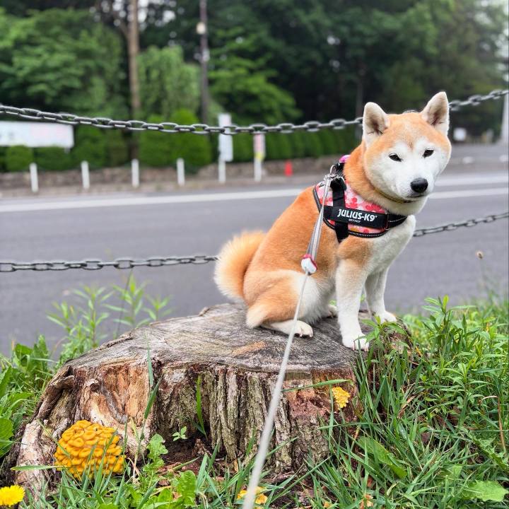 C3708a4f b0bf 44fb 9ac4 ec62dededf5f 1749856551204