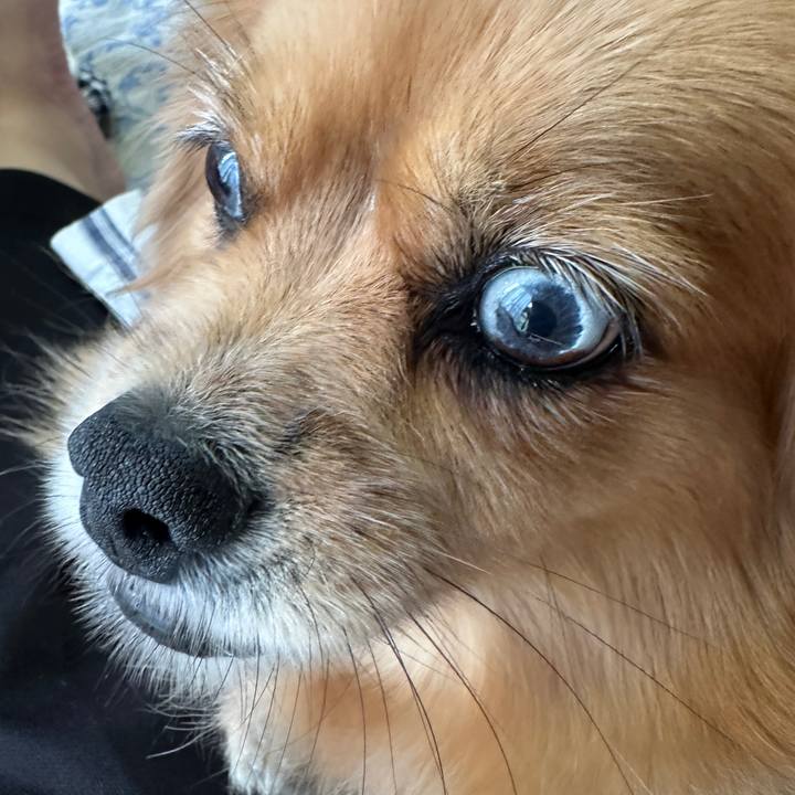 C371077b 22e2 49de 9e82 ebbb48c83129 1696120317547