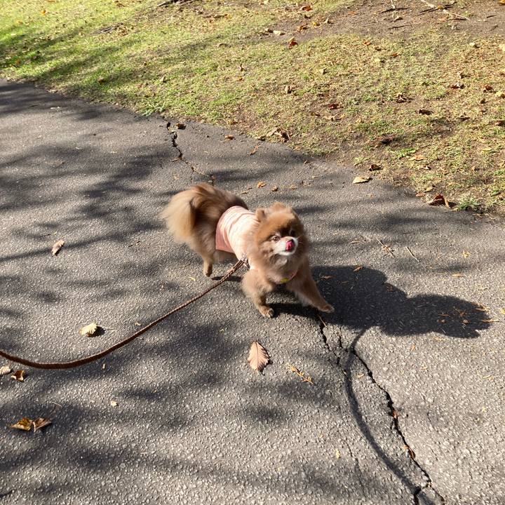 C371085a b001 4683 9ab1 6131b346cbce 1667794461760