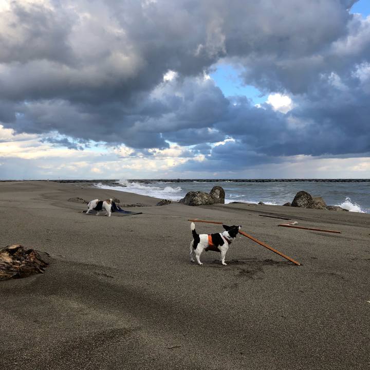 C3713827 95ea 4c0a be8e 3731bc3caa5c 1541030875119