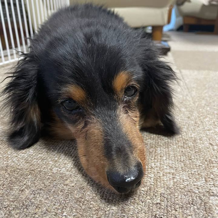 C3713b49 e7c8 4874 bff9 5044ecbf232d 1613338873360