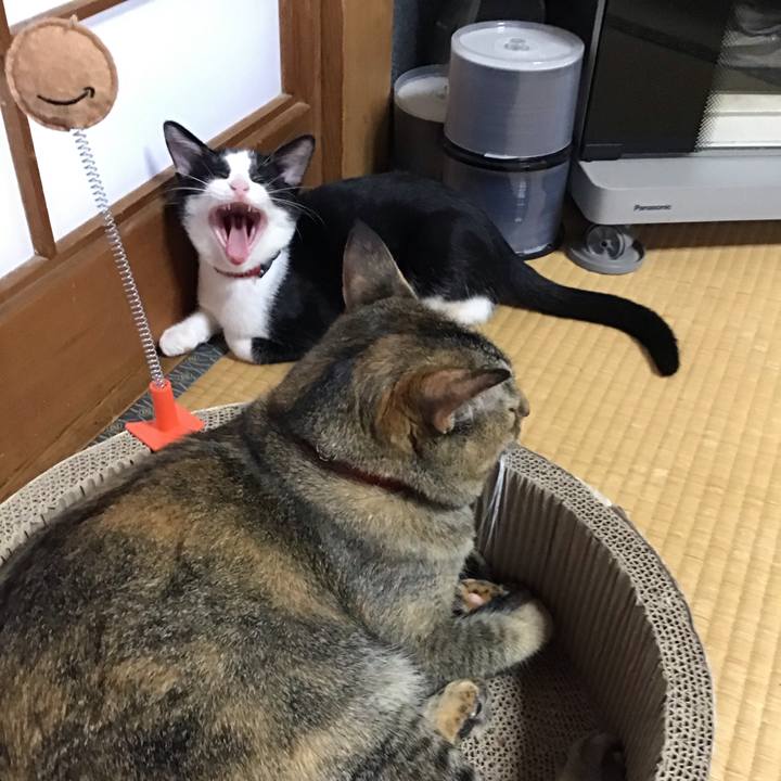 C3716e63 1d58 4d0e 9c01 2e513a3204d9 1627969077119