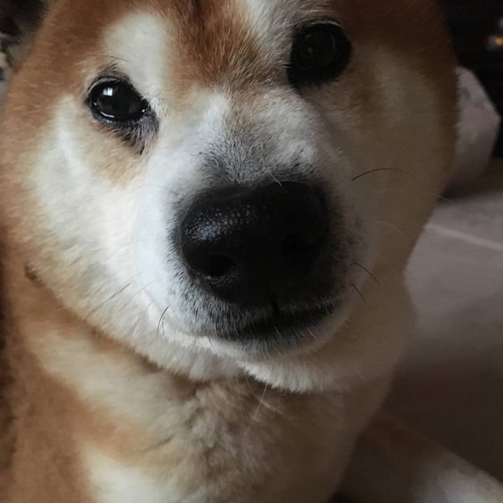 C3718444 4f07 4d04 8be3 89f60074b1b1 1524527631521