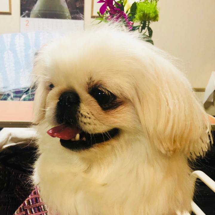 C371b157 e3e9 42a5 9d3b 579e3e99f811 1549125441541