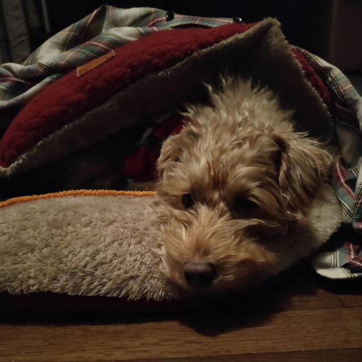 C371f683 112b 4ba5 b48a f08fcc128d93 1608552390015