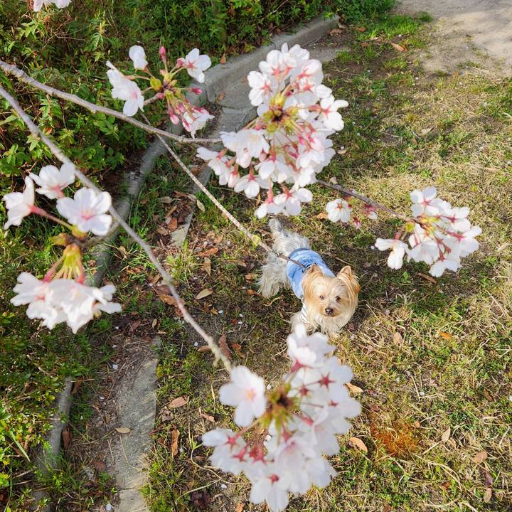 C372019c 78e6 4f84 853f a947c88c9488 1743808826128