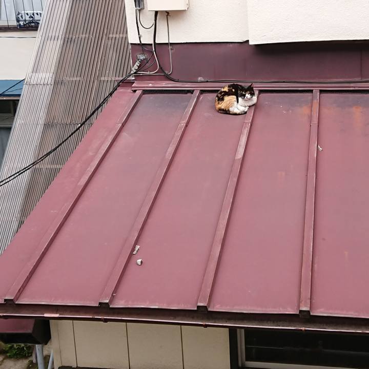 C3722b3a 17c0 41d6 8adc 185b8b61e466 1647826666863