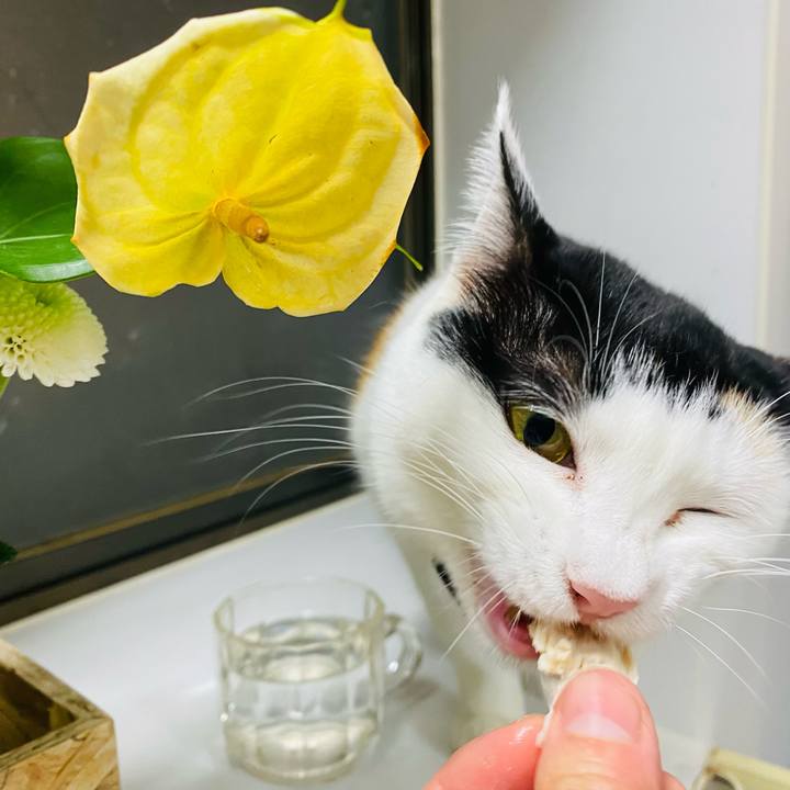 C3724d6a dea4 40d5 8a35 e6e229182b1b 1669544737059