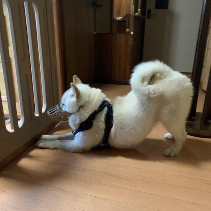 C3728e18 9c0a 4208 bd18 301041bb067b 1621717244187