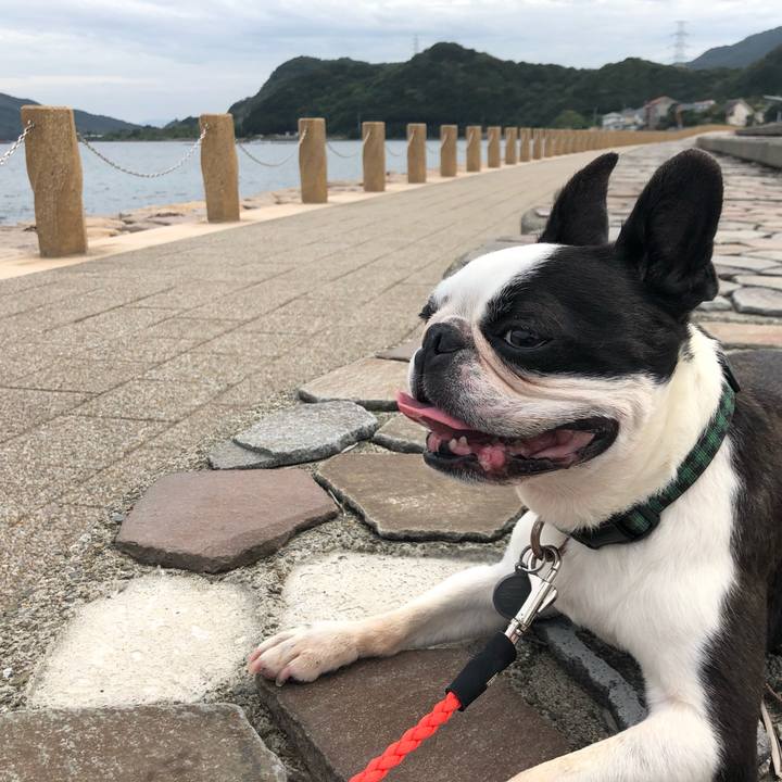 C372944e c30f 4e9a a3fa ab1dfb2dddd5 1570796943136