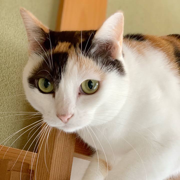 C372bf62 ab8a 4fdc a315 77d515ed0fac 1540002244516