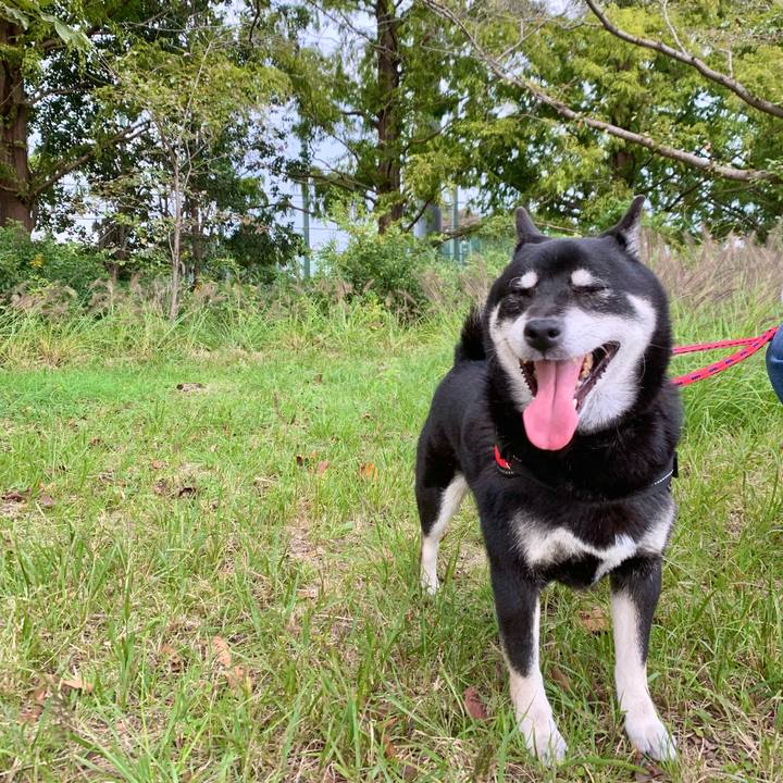 C372c90a ff92 49c1 a6df fdaa81617252 1666445787030