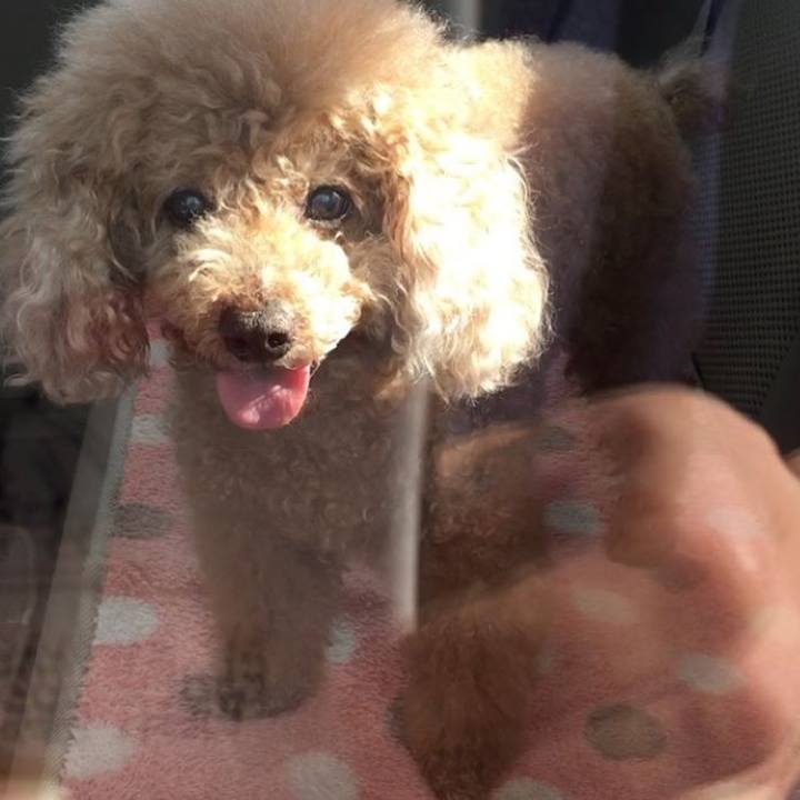 C372e472 2ebe 4a1c af67 074cfb39602a 1560608539971