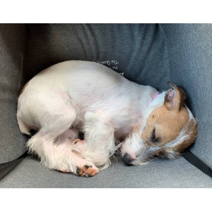 C372e4cf e4f7 4343 9e3d c334a23ea947 1596440116260