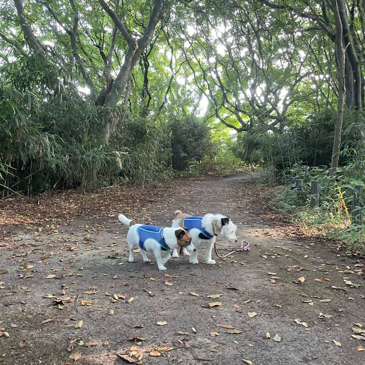 C3734951 eddc 43f4 81cf 982743076d5c 1756000534689