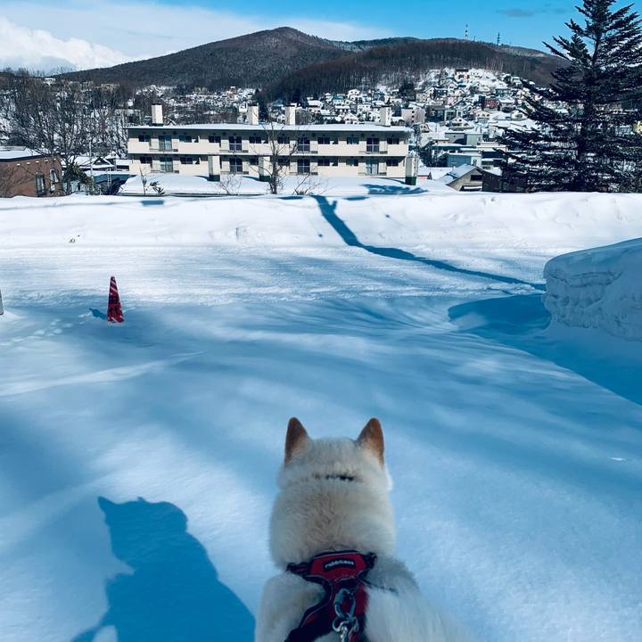 C37388e6 74af 4586 abc5 eae12f01f036 1614132758361