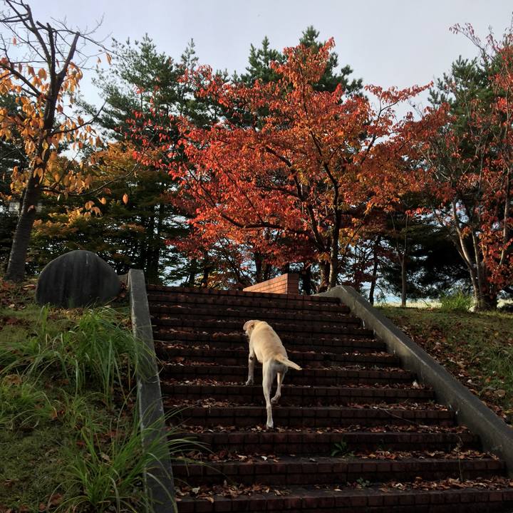 C3739791 9b18 42e2 9bb1 35b10dfb1405 1509520182441