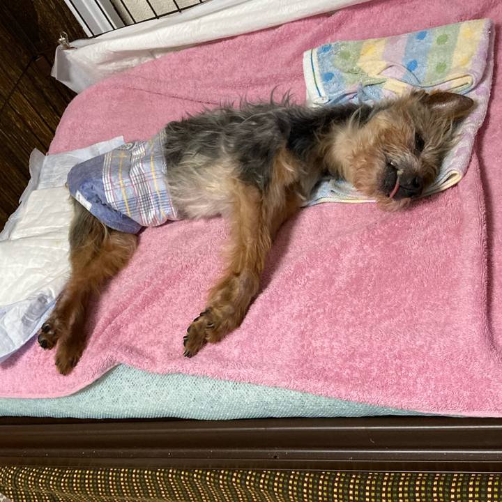 C373d57f 87a9 47e0 ac6f 8479ff8ea372 1690709959534