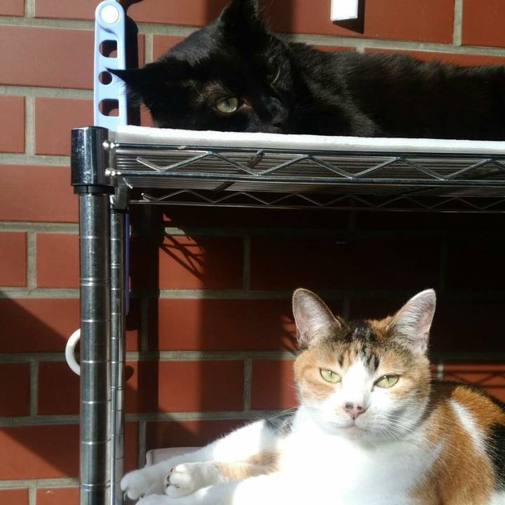 C373e394 0c86 4761 bedb a90de40b9e39 1536809143023