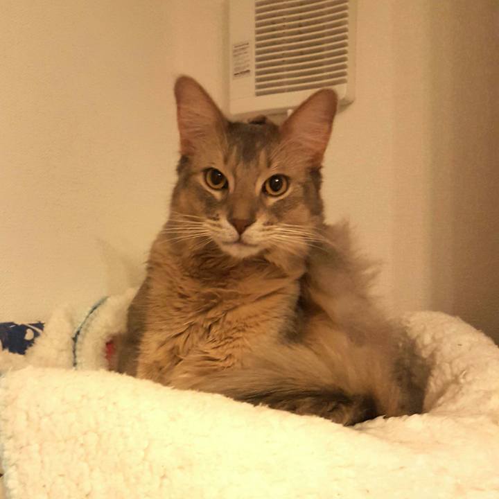 C373f535 8d05 40ed 9a00 cd6f49d574b9 1515589879346