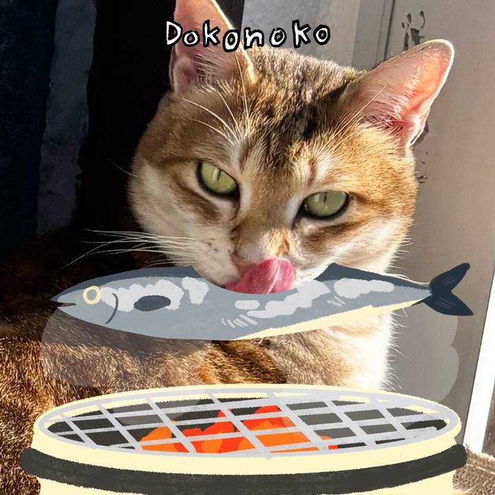 C3743e38 4b35 4b42 b701 73cabbd9b669 1761178434193