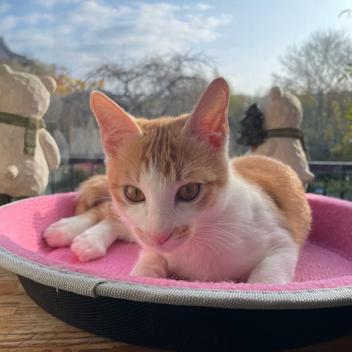 C3745f5d 843f 471c 8190 fae18de2724f 1703032282249