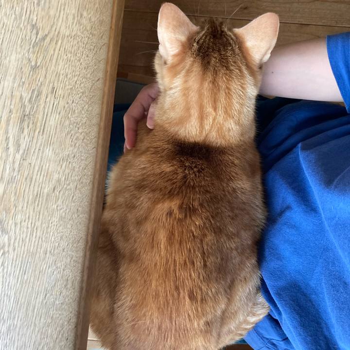 C3747c20 9f85 455d 9dcd 1eaae99adccf 1622243258018