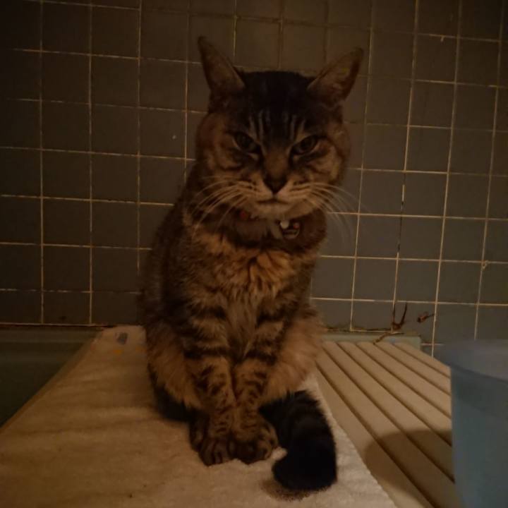 C3748226 799b 411a 95da 7cc967e62c0c 1581153855322