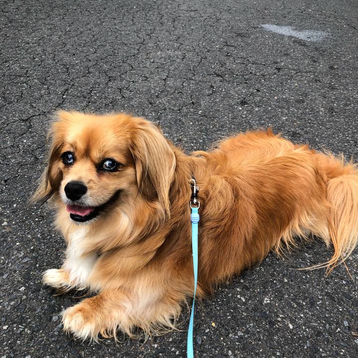 C37495cb ccc0 4884 bdc5 354b5aac2fc9 1560637777154